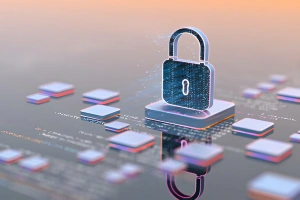 sistema de seguridad imagen